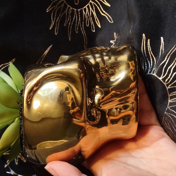 golden skull succulent 💀 - Picture 5 of 7